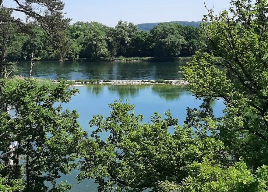 Solothurner Wanderwege – Rhein - Reben