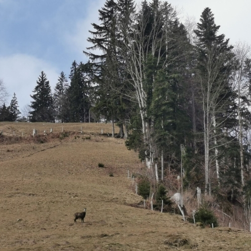 IMG_20260228_111939