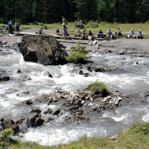 IMG-20260723-WA0000