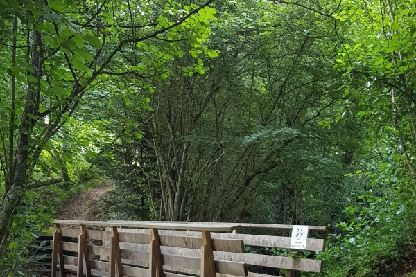 23. Herbstwanderung im Schwarzbubenland