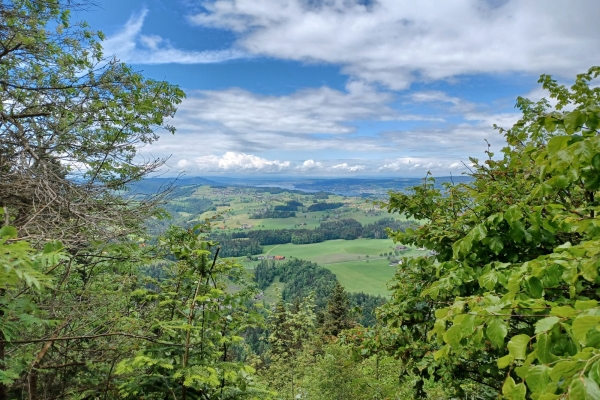 22. Über den Gottschalkenberg