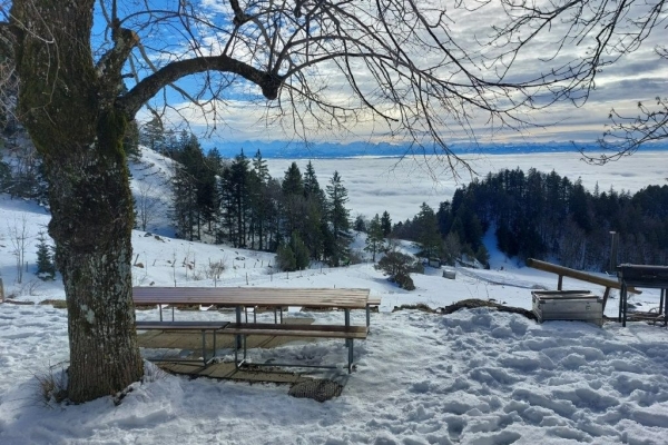 27. Traditioneller Vorsilvesterplausch auf der Schauenburg