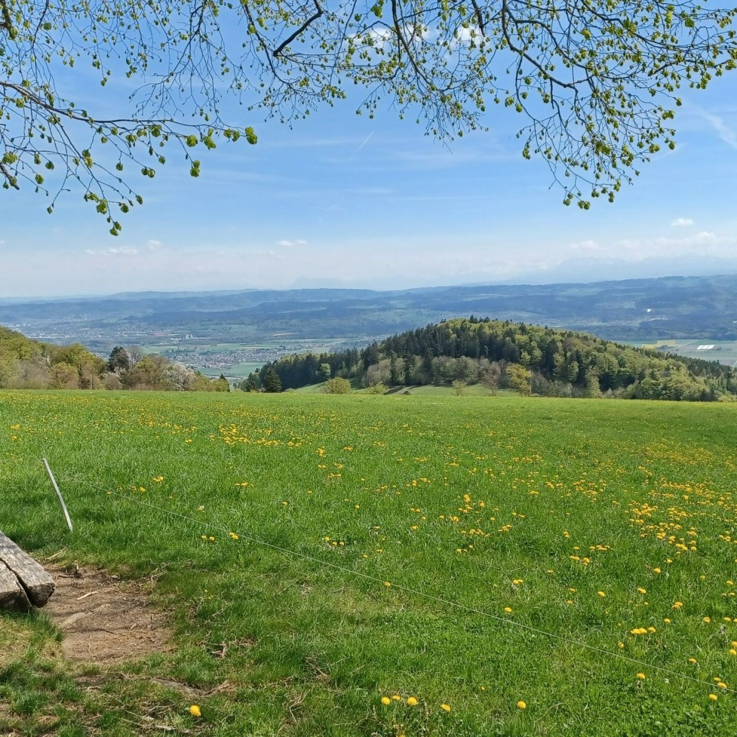 2026 Abo+ Wanderung