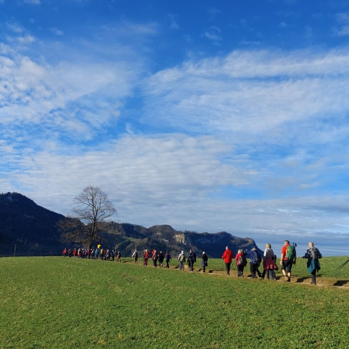 20251220_113839 Ausschnitt