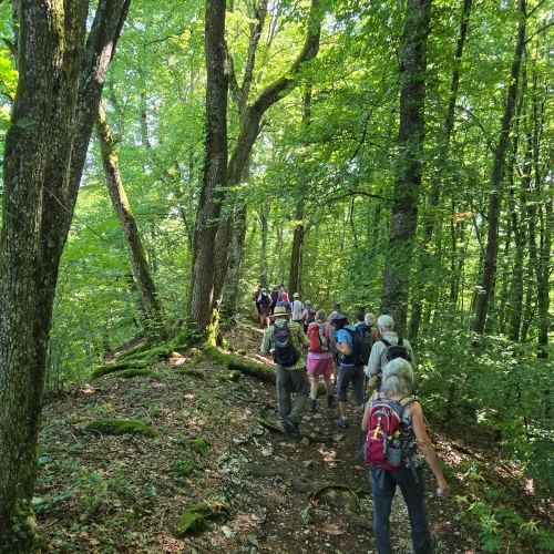 20250810_113221 gratweg