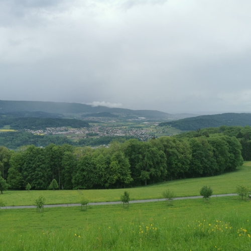 IMG_20250504_121525