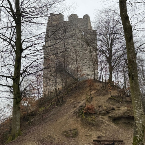 IMG-20250316-WA0055