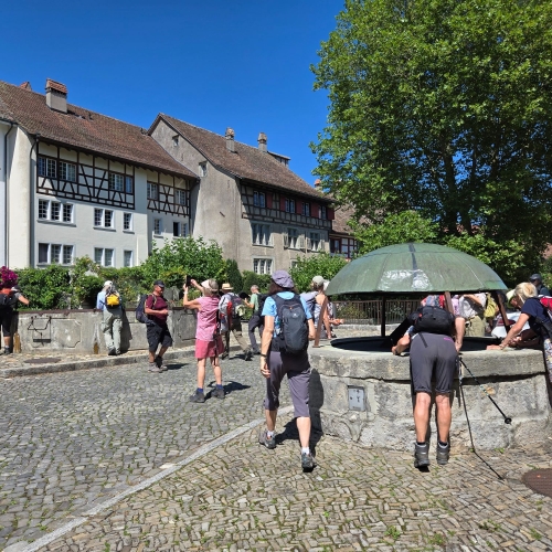 20250810_144211 regensberg sodbrunnen