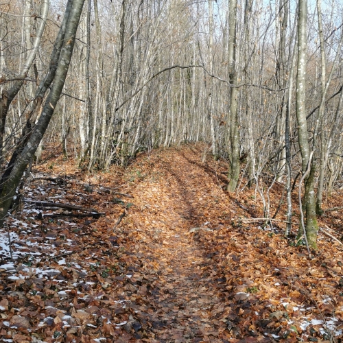 IMG_20251119_111850_edit_258835912140188