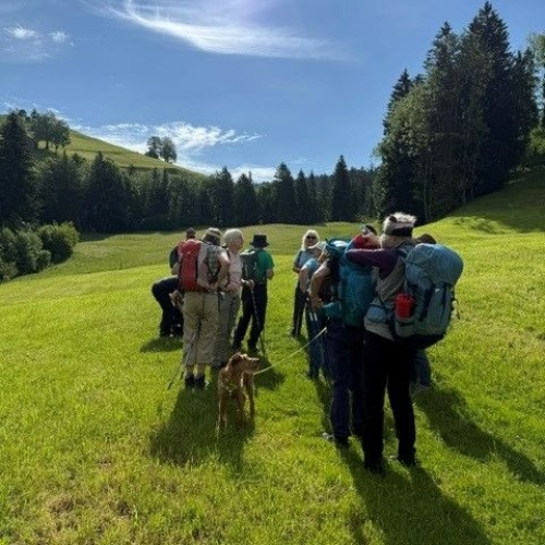 Hundwiler4